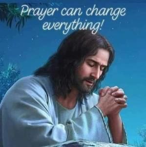 Meet your Posher, Alison